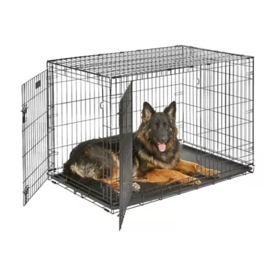 MidWest Homes for Pets Double-Door Wire iCrate, Collapsible, Removable Plastic Pan Included - Image 1