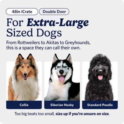 MidWest Homes for Pets Double-Door Wire iCrate, Collapsible, Removable Plastic Pan Included - Image 2