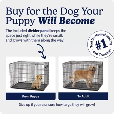 MidWest Homes for Pets Double-Door Wire iCrate, Collapsible, Removable Plastic Pan Included - Image 3