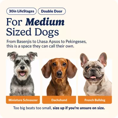 MidWest Homes for Pets LifeStages Double Door Fold & Carry Crate for Dogs - Image 2