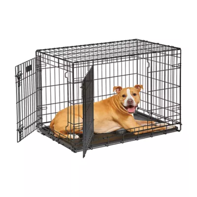 MidWest Homes for Pets LifeStages Double Door Fold & Carry Crate for Dogs - Image 1