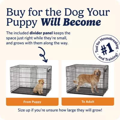 MidWest Homes for Pets LifeStages Double Door Fold & Carry Crate for Dogs - Image 8