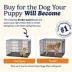 MidWest Homes for Pets LifeStages Double Door Fold & Carry Crate for Dogs image thumbnail 8