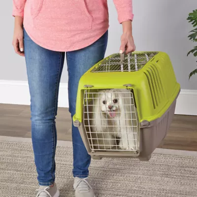MidWest homes for Pets Spree™ Pet Carrier W/ Two Wire Doors & Handle, 24 Inch - Image 2