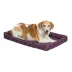 Midwest® QuietTime Ashton Bolster Bed For Pets, Machine Washable & Dryable, Purple image thumbnail 1