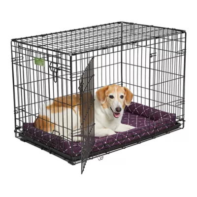 Midwest® QuietTime Ashton Bolster Bed For Pets, Machine Washable & Dryable, Purple - Image 5