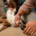Fiskars Large Nail Clipper For Pets W/ Semi-Circular Blade Design, Suitable for Medium to Large Dogs image thumbnail 6