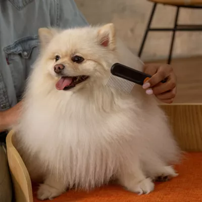 Fiskars Wide-Tooth Steel Comb For Pets, Suitable For Straight, Curly or Double Coat Fur - Image 5