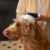 Fiskars Silicone Massage Brush For Dogs & Cats, Gently Deshed, Soothe & Calm, 6.5 Inch Brush image thumbnail 6