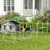 PawHut Set of 6 Dog Agility Training Equipment -Adjustable Jump Bar Pet Exercise Kit w/Carrying Bag image thumbnail 2