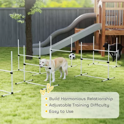 PawHut Set of 6 Dog Agility Training Equipment -Adjustable Jump Bar Pet Exercise Kit w/Carrying Bag - Image 7