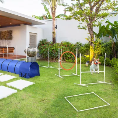 PawHut 5Pcs Dog Agility Training Equipment with Tunnels, Adjustable Jump Ring, Jumper, Weave Poles - Image 2