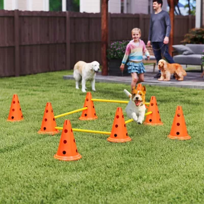 PawHut Dog Agility Hurdle Cone Set, Adjustable Obstacle Course Equipment with 8 Cones & 8 Poles - Image 2