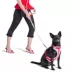 Wild One Hands Free Rope Dog Leash Bubblegum image thumbnail 3
