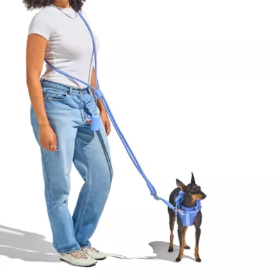 Wild One Hands Free Dog Leash Moonstone - Image 3