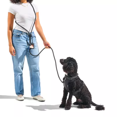 Wild One Hands Free Rope Dog Leash Black - Image 3