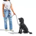 Wild One Hands Free Rope Dog Leash Black image thumbnail 3