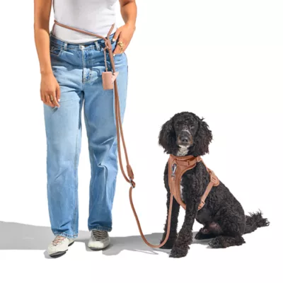 Wild One Hands Free Rope Dog Leash Cocoa - Image 3