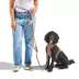 Wild One Hands Free Rope Dog Leash Cocoa image thumbnail 3