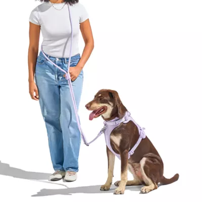 Wild One Hands Free Rope Dog Leash Lilac - Image 3