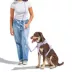 Wild One Hands Free Rope Dog Leash Lilac image thumbnail 3