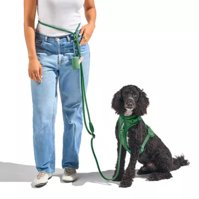 Wild One Hands Free Rope Dog Leash Spruce - Image 3