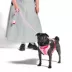 Wild One Waterproof Dog Leash 2 Lengths or 2 Pups: Adjustable lengths with snap-hooks at both ends image thumbnail 4