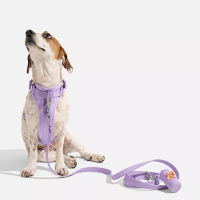 Wild One Waterproof Dog Leash 2 Lengths or 2 Pups: Adjustable lengths with snap-hooks at both ends - Image 3