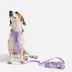 Wild One Waterproof Dog Leash 2 Lengths or 2 Pups: Adjustable lengths with snap-hooks at both ends image thumbnail 3