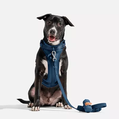 Wild One Waterproof Dog Leash 2 Lengths or 2 Pups: Adjustable lengths with snap-hooks at both ends - Image 3