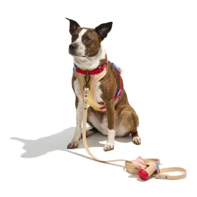 Wild One Waterproof Dog Leash 2 Lengths or 2 Pups: Adjustable lengths with snap-hooks at both ends - Image 3