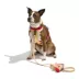Wild One Waterproof Dog Leash 2 Lengths or 2 Pups: Adjustable lengths with snap-hooks at both ends image thumbnail 3