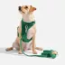 Wild One Waterproof Dog Leash 2 Lengths or 2 Pups: Adjustable lengths with snap-hooks at both ends image thumbnail 3