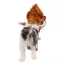 Rubies Pet Shop IT Pennywise Walking Pet Costume for Dogs image thumbnail 2