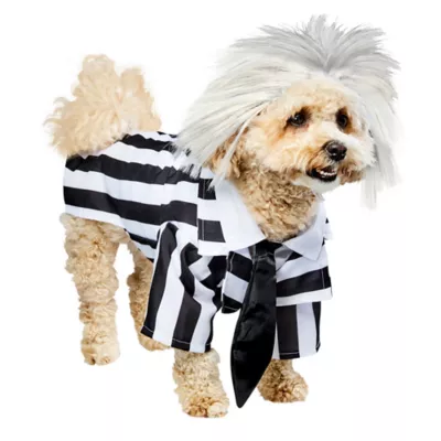 Rubies Pet Shop Beetlejuice Pet Costume for Dogs - Image 4
