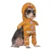 Rubies Pet Shop Shrek Gingy Walking Pet Costume for Dogs image thumbnail 1