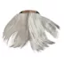 Rubies Pet Shop Beetlejuice Pet Costume for Dogs image thumbnail 6