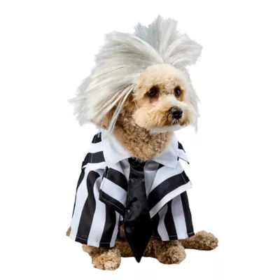 Rubies Pet Shop Beetlejuice Pet Costume for Dogs - Image 1