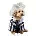 Rubies Pet Shop Beetlejuice Pet Costume for Dogs image thumbnail 1