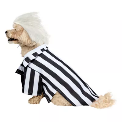 Rubies Pet Shop Beetlejuice Pet Costume for Dogs - Image 3