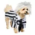 Rubies Pet Shop Beetlejuice Pet Costume for Dogs image thumbnail 4