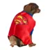 Rubies Pet Shop DC Comics Superman Pet Costume for Dogs image thumbnail 2