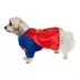 Rubies Pet Shop DC Comics Superman Pet Costume for Dogs image thumbnail 4