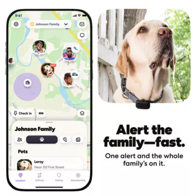 Life360 Pet GPS Tracker for Pets W/ 14-Day Battery Life, Live Tracking & Escape Alerts - Image 4