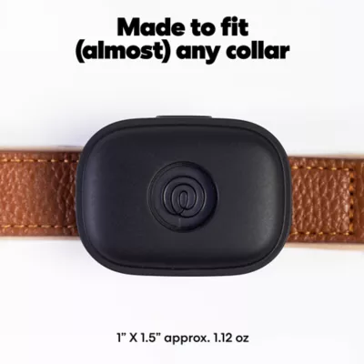 Life360 Pet GPS Tracker for Pets W/ 14-Day Battery Life, Live Tracking & Escape Alerts - Image 5