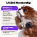 Life360 Pet GPS Tracker for Pets W/ 14-Day Battery Life, Live Tracking & Escape Alerts image thumbnail 7