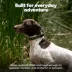Life360 Pet GPS Tracker for Pets W/ 14-Day Battery Life, Live Tracking & Escape Alerts image thumbnail 9