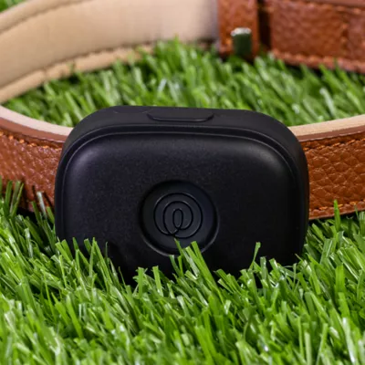 Life360 Pet GPS Tracker for Pets W/ 14-Day Battery Life, Live Tracking & Escape Alerts - Image 10
