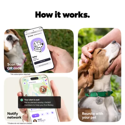Life360 Smart QR Code Pet ID Tag For Dogs & Cats, App Compatible, Includes Keyring- 1 Pack - Image 2