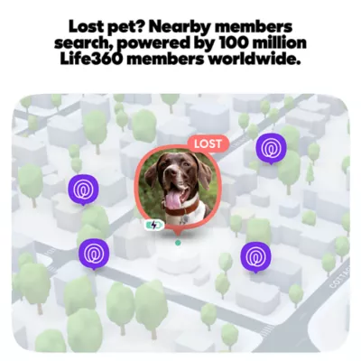 Life360 Smart QR Code Pet ID Tag For Dogs & Cats, App Compatible, Includes Keyring- 1 Pack - Image 3